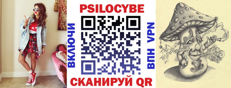 Псилоцибиновые грибы Psilocybe  гидра зеркало  Михайлов 